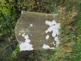 image of grave number 539810